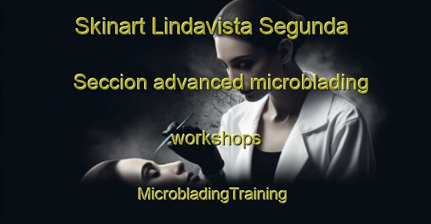 Skinart Lindavista Segunda Seccion advanced microblading workshops | #MicrobladingTraining #MicrobladingClasses #SkinartTraining-Mexico