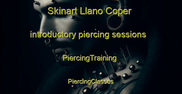 Skinart Llano Coper introductory piercing sessions | #PiercingTraining #PiercingClasses #SkinartTraining-Mexico