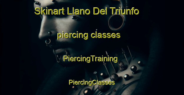 Skinart Llano Del Triunfo piercing classes | #PiercingTraining #PiercingClasses #SkinartTraining-Mexico