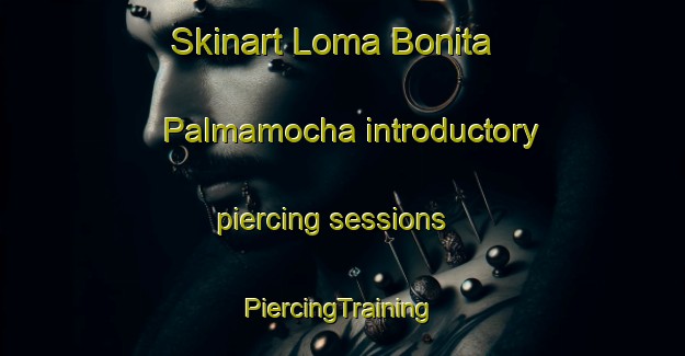 Skinart Loma Bonita  Palmamocha introductory piercing sessions | #PiercingTraining #PiercingClasses #SkinartTraining-Mexico