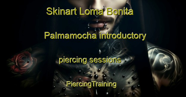 Skinart Loma Bonita  Palmamocha introductory piercing sessions | #PiercingTraining #PiercingClasses #SkinartTraining-Mexico