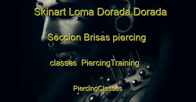 Skinart Loma Dorada Dorada Seccion Brisas piercing classes | #PiercingTraining #PiercingClasses #SkinartTraining-Mexico