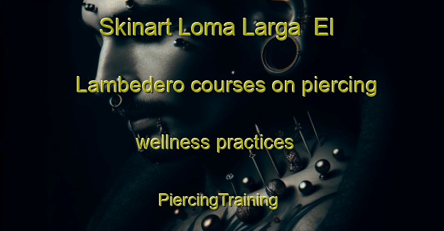 Skinart Loma Larga  El Lambedero courses on piercing wellness practices | #PiercingTraining #PiercingClasses #SkinartTraining-Mexico