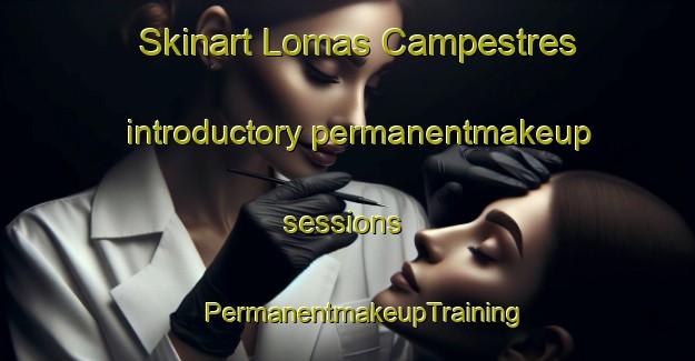 Skinart Lomas Campestres introductory permanentmakeup sessions | #PermanentmakeupTraining #PermanentmakeupClasses #SkinartTraining-Mexico