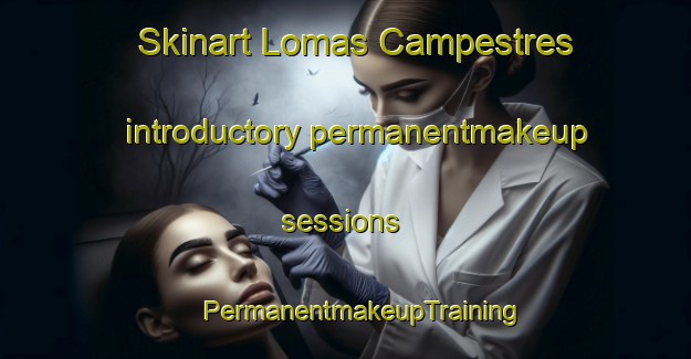 Skinart Lomas Campestres introductory permanentmakeup sessions | #PermanentmakeupTraining #PermanentmakeupClasses #SkinartTraining-Mexico