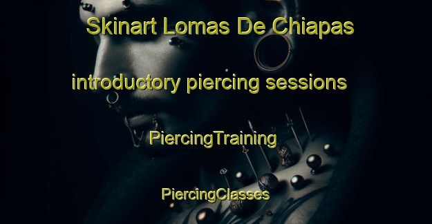 Skinart Lomas De Chiapas introductory piercing sessions | #PiercingTraining #PiercingClasses #SkinartTraining-Mexico