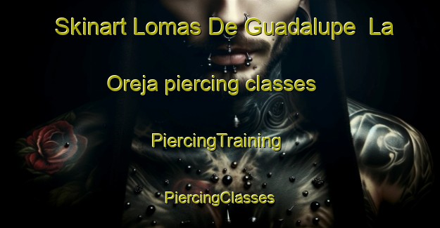 Skinart Lomas De Guadalupe  La Oreja piercing classes | #PiercingTraining #PiercingClasses #SkinartTraining-Mexico