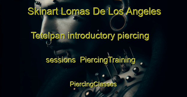 Skinart Lomas De Los Angeles Tetelpan introductory piercing sessions | #PiercingTraining #PiercingClasses #SkinartTraining-Mexico