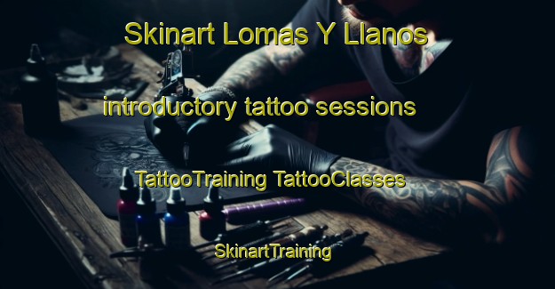 Skinart Lomas Y Llanos introductory tattoo sessions | #TattooTraining #TattooClasses #SkinartTraining-Mexico