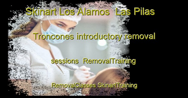 Skinart Los Alamos  Las Pilas Troncones introductory removal sessions | #RemovalTraining #RemovalClasses #SkinartTraining-Mexico