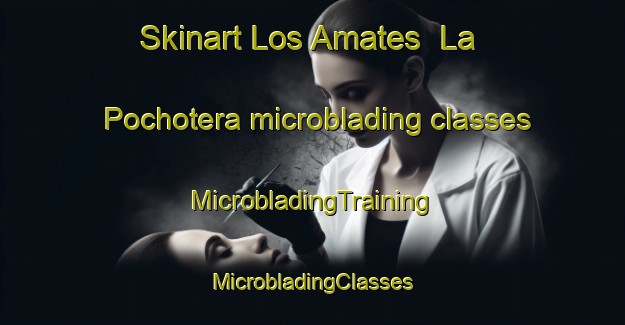 Skinart Los Amates  La Pochotera microblading classes | #MicrobladingTraining #MicrobladingClasses #SkinartTraining-Mexico