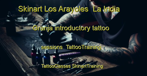 Skinart Los Arayoles  La India   Granja introductory tattoo sessions | #TattooTraining #TattooClasses #SkinartTraining-Mexico