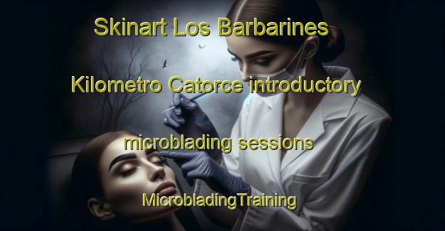 Skinart Los Barbarines  Kilometro Catorce introductory microblading sessions | #MicrobladingTraining #MicrobladingClasses #SkinartTraining-Mexico