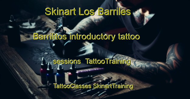 Skinart Los Barriles  Barrilitos introductory tattoo sessions | #TattooTraining #TattooClasses #SkinartTraining-Mexico