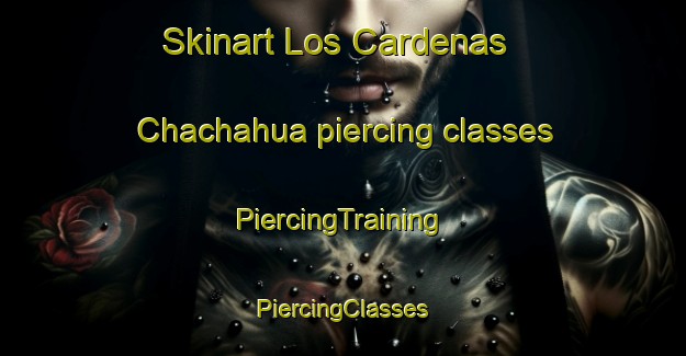 Skinart Los Cardenas  Chachahua piercing classes | #PiercingTraining #PiercingClasses #SkinartTraining-Mexico