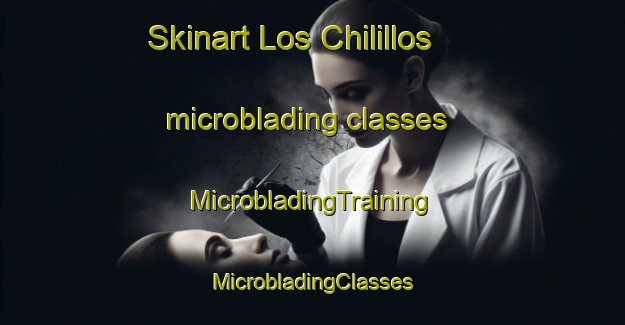 Skinart Los Chilillos microblading classes | #MicrobladingTraining #MicrobladingClasses #SkinartTraining-Mexico