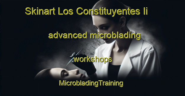 Skinart Los Constituyentes Ii advanced microblading workshops | #MicrobladingTraining #MicrobladingClasses #SkinartTraining-Mexico