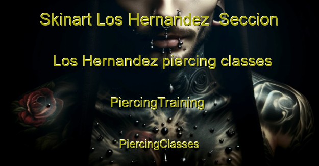 Skinart Los Hernandez  Seccion Los Hernandez piercing classes | #PiercingTraining #PiercingClasses #SkinartTraining-Mexico