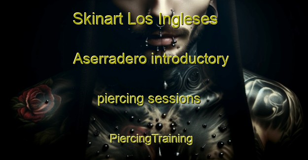 Skinart Los Ingleses  Aserradero introductory piercing sessions | #PiercingTraining #PiercingClasses #SkinartTraining-Mexico