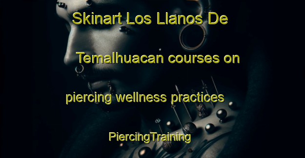 Skinart Los Llanos De Temalhuacan courses on piercing wellness practices | #PiercingTraining #PiercingClasses #SkinartTraining-Mexico