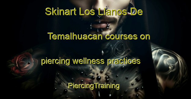 Skinart Los Llanos De Temalhuacan courses on piercing wellness practices | #PiercingTraining #PiercingClasses #SkinartTraining-Mexico