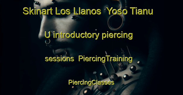 Skinart Los Llanos  Yoso Tianu U introductory piercing sessions | #PiercingTraining #PiercingClasses #SkinartTraining-Mexico