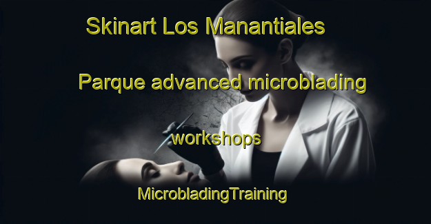 Skinart Los Manantiales  Parque advanced microblading workshops | #MicrobladingTraining #MicrobladingClasses #SkinartTraining-Mexico