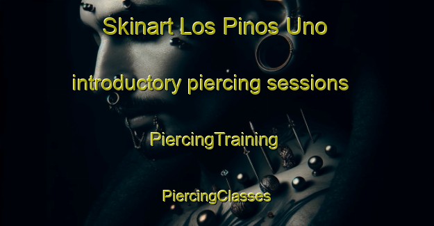 Skinart Los Pinos Uno introductory piercing sessions | #PiercingTraining #PiercingClasses #SkinartTraining-Mexico