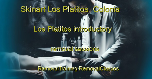 Skinart Los Platitos  Colonia Los Platitos introductory removal sessions | #RemovalTraining #RemovalClasses #SkinartTraining-Mexico