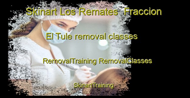 Skinart Los Remates  Fraccion El Tule removal classes | #RemovalTraining #RemovalClasses #SkinartTraining-Mexico