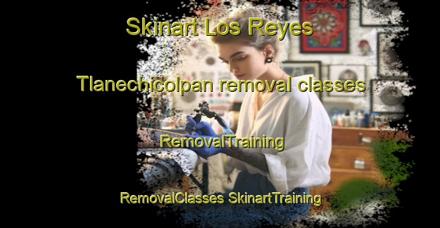 Skinart Los Reyes Tlanechicolpan removal classes | #RemovalTraining #RemovalClasses #SkinartTraining-Mexico