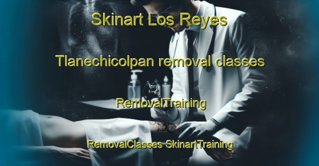 Skinart Los Reyes Tlanechicolpan removal classes | #RemovalTraining #RemovalClasses #SkinartTraining-Mexico