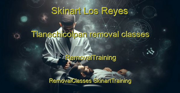 Skinart Los Reyes Tlanechicolpan removal classes | #RemovalTraining #RemovalClasses #SkinartTraining-Mexico