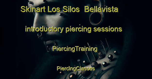 Skinart Los Silos  Bellavista introductory piercing sessions | #PiercingTraining #PiercingClasses #SkinartTraining-Mexico