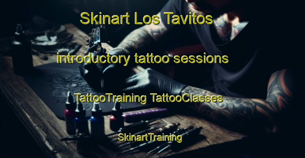 Skinart Los Tavitos introductory tattoo sessions | #TattooTraining #TattooClasses #SkinartTraining-Mexico