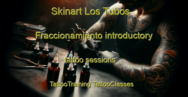 Skinart Los Tubos  Fraccionamiento introductory tattoo sessions | #TattooTraining #TattooClasses #SkinartTraining-Mexico