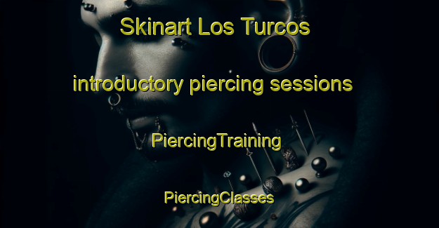 Skinart Los Turcos introductory piercing sessions | #PiercingTraining #PiercingClasses #SkinartTraining-Mexico