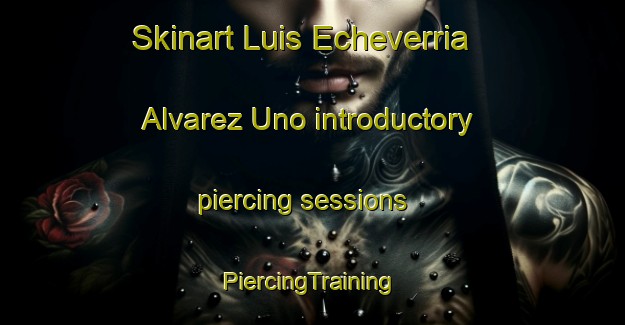 Skinart Luis Echeverria Alvarez Uno introductory piercing sessions | #PiercingTraining #PiercingClasses #SkinartTraining-Mexico