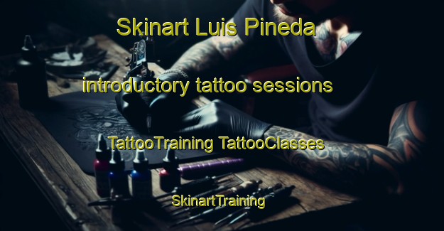 Skinart Luis Pineda introductory tattoo sessions | #TattooTraining #TattooClasses #SkinartTraining-Mexico