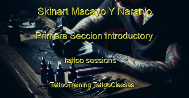 Skinart Macayo Y Naranjo Primera Seccion introductory tattoo sessions | #TattooTraining #TattooClasses #SkinartTraining-Mexico