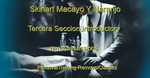 Skinart Macayo Y Naranjo Tercera Seccion introductory removal sessions | #RemovalTraining #RemovalClasses #SkinartTraining-Mexico