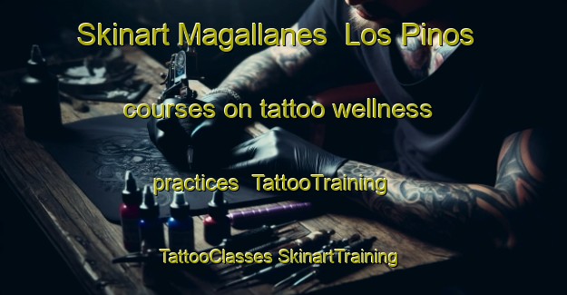 Skinart Magallanes  Los Pinos courses on tattoo wellness practices | #TattooTraining #TattooClasses #SkinartTraining-Mexico