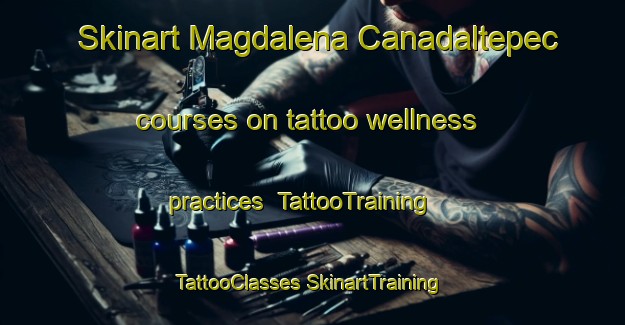 Skinart Magdalena Canadaltepec courses on tattoo wellness practices | #TattooTraining #TattooClasses #SkinartTraining-Mexico