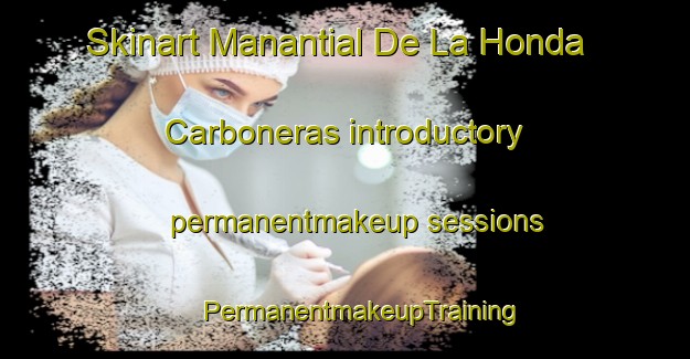 Skinart Manantial De La Honda  Carboneras introductory permanentmakeup sessions | #PermanentmakeupTraining #PermanentmakeupClasses #SkinartTraining-Mexico