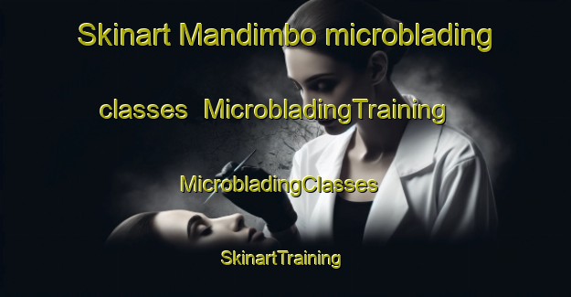 Skinart Mandimbo microblading classes | MicrobladingTraining | MicrobladingClasses | SkinartTraining-Mexico