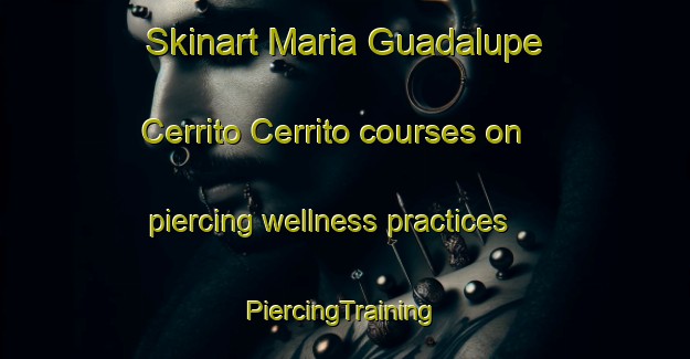 Skinart Maria Guadalupe Cerrito Cerrito courses on piercing wellness practices | #PiercingTraining #PiercingClasses #SkinartTraining-Mexico