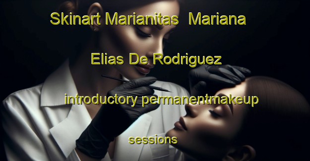 Skinart Marianitas  Mariana Elias De Rodriguez introductory permanentmakeup sessions | #PermanentmakeupTraining #PermanentmakeupClasses #SkinartTraining-Mexico