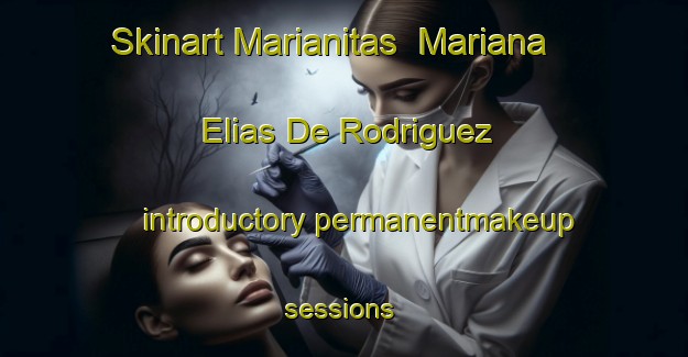 Skinart Marianitas  Mariana Elias De Rodriguez introductory permanentmakeup sessions | #PermanentmakeupTraining #PermanentmakeupClasses #SkinartTraining-Mexico