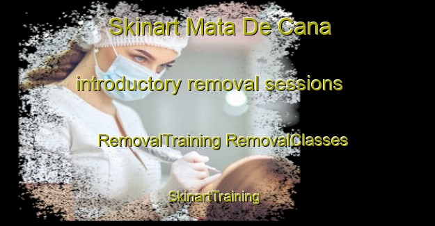 Skinart Mata De Cana introductory removal sessions | #RemovalTraining #RemovalClasses #SkinartTraining-Mexico