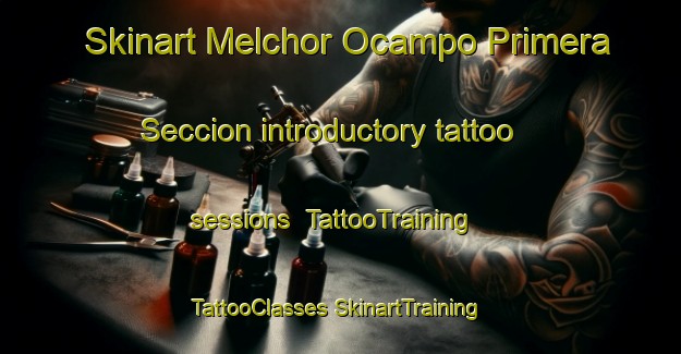 Skinart Melchor Ocampo Primera Seccion introductory tattoo sessions | #TattooTraining #TattooClasses #SkinartTraining-Mexico